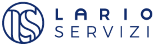 Lario Servizi